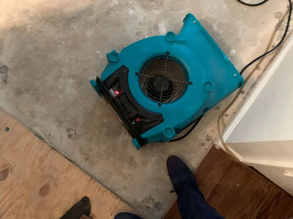 Air mover drying subfloor during Commercial Water Damage Restoration in Berkley