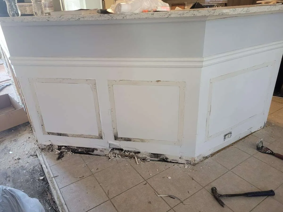 Water damage and mold on kitchen during Sewage Cleanup & Sanitation in Berkley